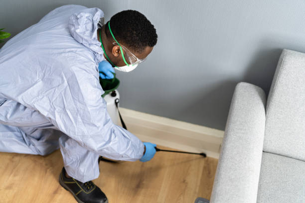 Best Residential Pest Control  in Cleora, OK